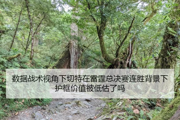 数据战术视角下切特在雷霆总决赛连胜背景下护框价值被低估了吗
